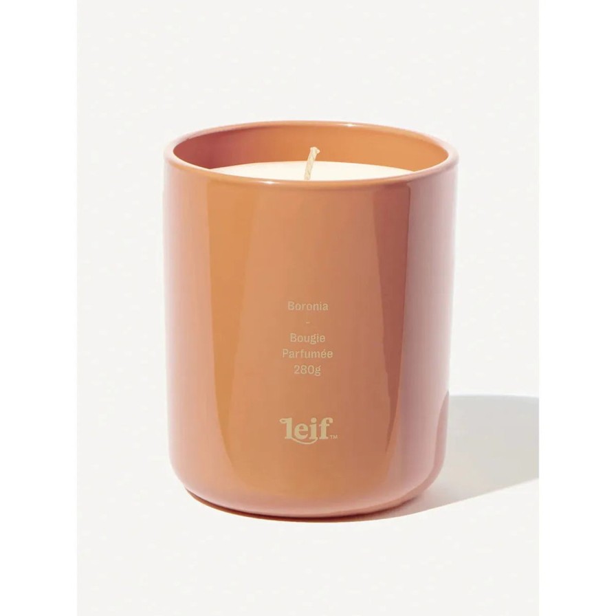 Home & Gift. Leif Candles & Incense | Leif Boronia Candle