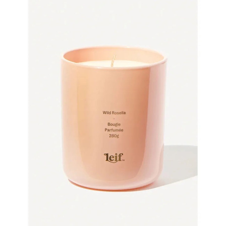 Home & Gift. Leif Candles & Incense | Leif Wild Rosella Candle